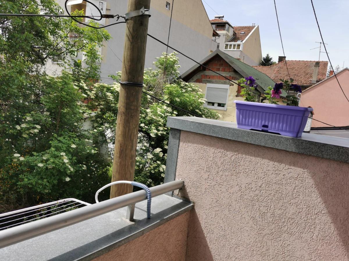 Apartmani Milica Krusevac Luaran gambar